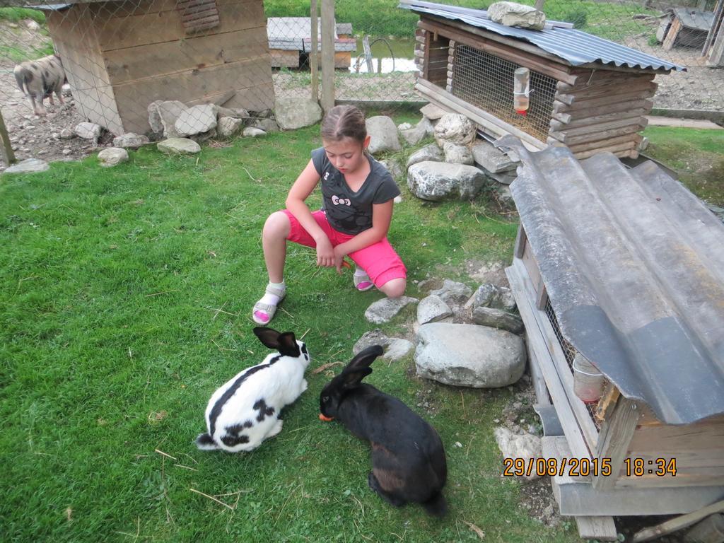 Hotel Hammerwirt - Forellenhof Untertauern Zewnętrze zdjęcie